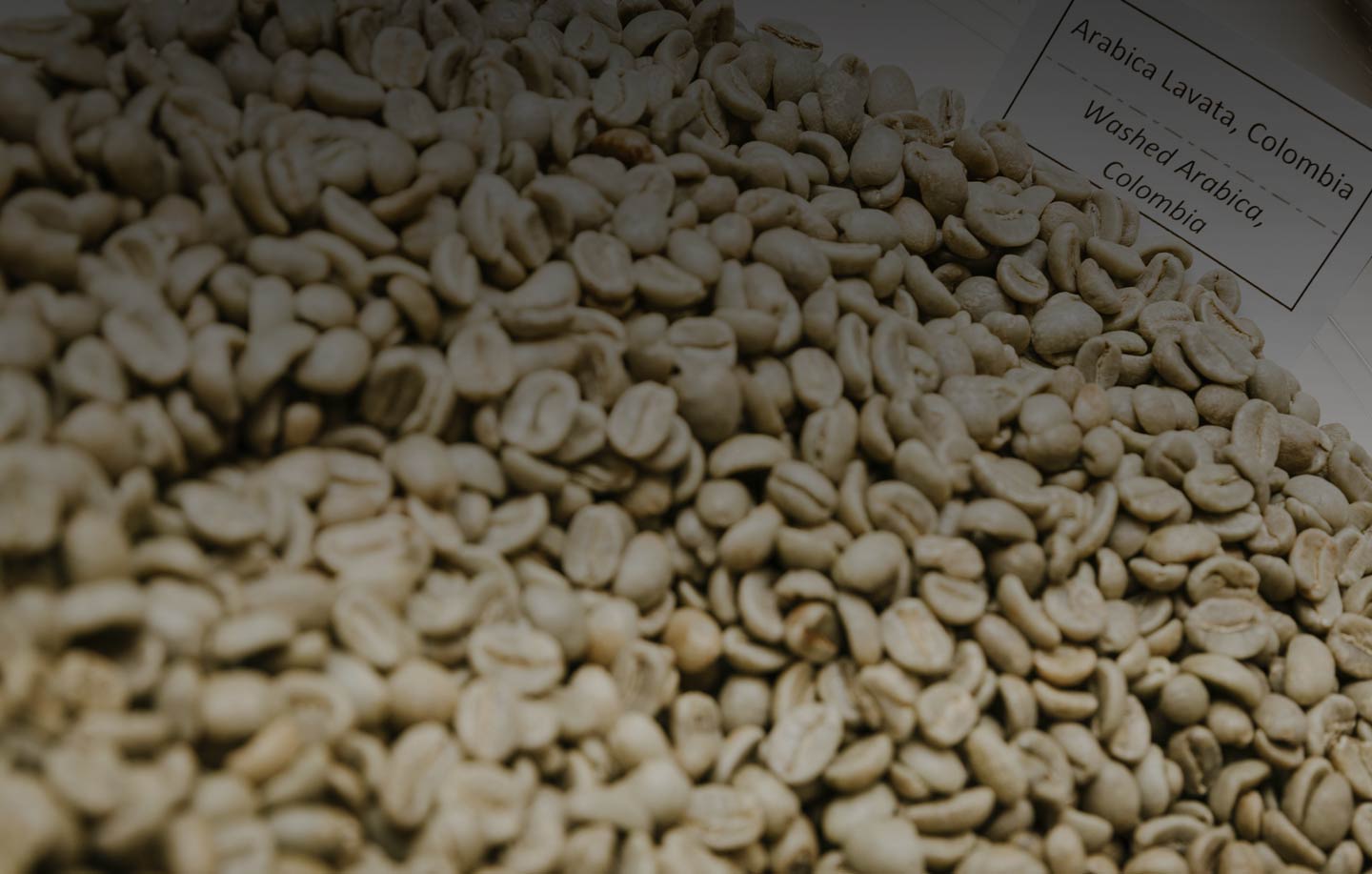 Kaffee Arabica: was ist diese kaffeesorte?