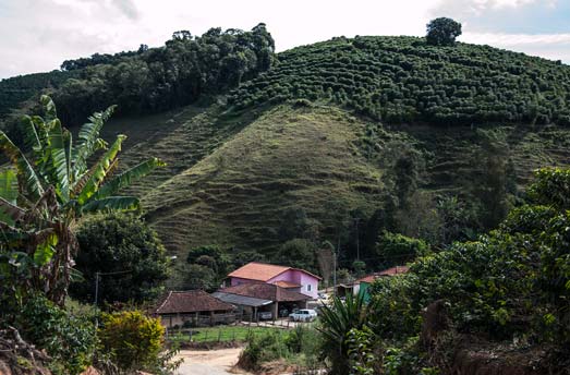 Kaffeeplantage in Brasilien